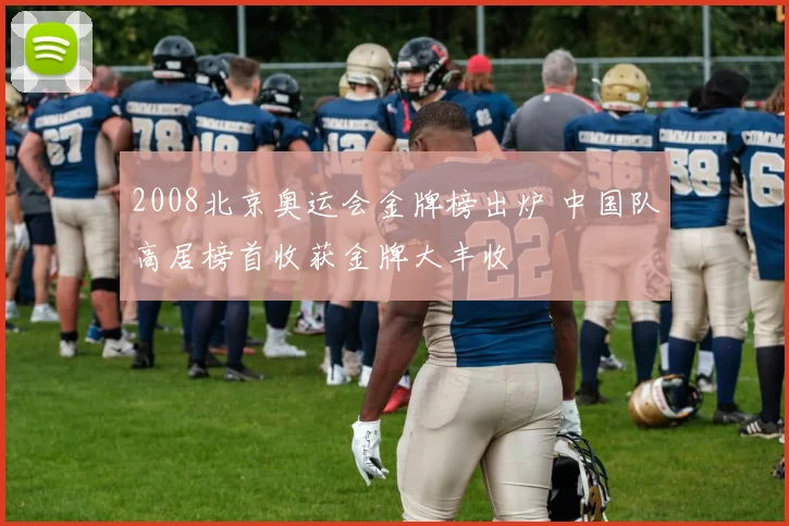 2008北京奥运会金牌榜出炉 中国队高居榜首收获金牌大丰收