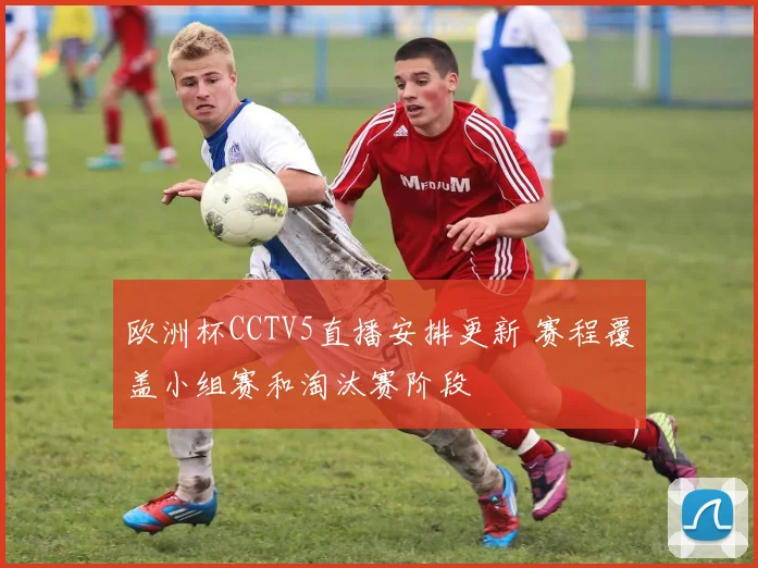 欧洲杯CCTV5直播安排更新 赛程覆盖小组赛和淘汰赛阶段