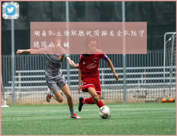 湖南队主场取胜巩固排名全队防守稳固成关键